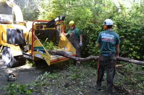 tree services Planada